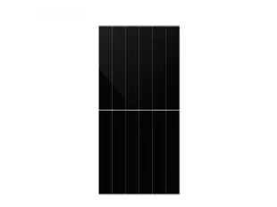 PV modul DAH Solar,650W,66Z20/DG,FS(BW),N Tip,1350mm,FL